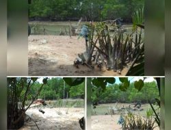 Tambang Timah Di Pinggir Jalan Raya Telok Bayur Bangka Belitung Tak Tersentuh