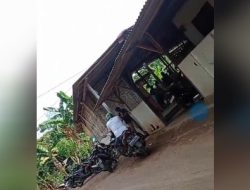 Aktifitas Perjudian 303 Sambung Ayam dan Dadu Desa Watulimo Wilayah Hukum Polres Trenggalek, Polda Jatim Omset Ratusan Juta