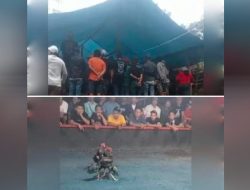 Dua Arena Perjudian 303 Sabung Ayam di Malang diduga Belum tersentuh Aparat Penegak Hukum