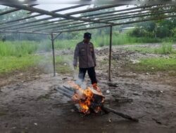 Detik-detik Polisi Bakar Arena Judi 303 Sabung ayam di Karawang Jabar