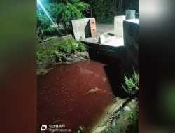 Pencemaran Lingkungan Pemotongan Sapi ilegal di Dusun Klagen, Desa Tropodo, Kec. Krian Menjadi Perhatian