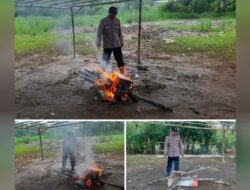 Judi Sabung ayam di Desa Sungaibuntu Kec. Pedes, Kab. Karawang, Jabar di Bakar Polisi