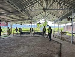 Markas Judi Sabung Ayam di Gerebek Tim Gabungan Polres Purbalingga, TNI AD, TNI AU, POM AU, dan Forkopimcam