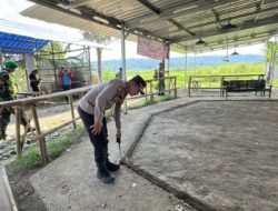 Tempat Sabung Ayam Akhirnya di Gerebek Tim Gabungan