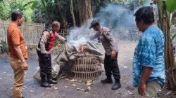 Polsek Balongbendo membakar peralatan yang dipakai saat berjudi sabung ayam di Desa Seketi