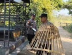 Polsek Srengat, Blitar Gerebek Perjudian Sabung Ayam