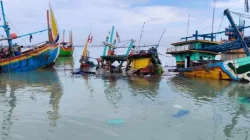 Nelayan di Tempat Pelelangan Ikan (TPI) Palang, Tuban Berduka