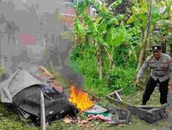 Polisi Bongkar Arena Sabung Ayam di Plumbungan Sukodono