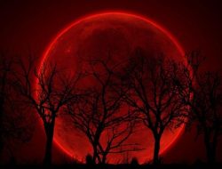 Gerhana Bulan Total ” Akan Menghiasi Langit Indonesia Malam Ini Minggu 7/9/2025