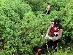 Tragedi Korban Mutilasi dipacat Mojokerto Geger, Jagad Dunia Maya Medsos Kasus Mutilasi di Pacet Mojokerto