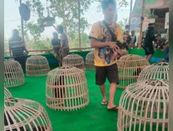 Perjudian Sabung Ayam Diwilayah Hukum Polres Jombang Bebas Beraktivitas