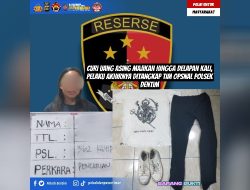 Curi Uang Majikan hingga Delapan Kali, Pelaku Akhirnya Ditangkap Tim Opsnal Polsek Dentim
