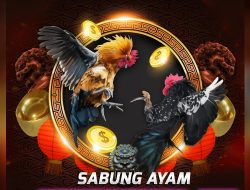 Masyarakat Minta Kapolres Jember Berantas Perjudian Sabung Ayam di Karangduren, tidak di Gubris