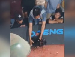 Perjudian Sabung Ayam di Desa Wadung, Kecamatan Pakisaji, Kabupaten Malang “Masyarakat Resah